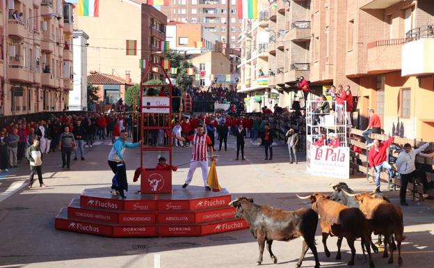 El Ayuntamiento busca la empresa que organice los festejos populares taurinos durante 2023. / E. P.