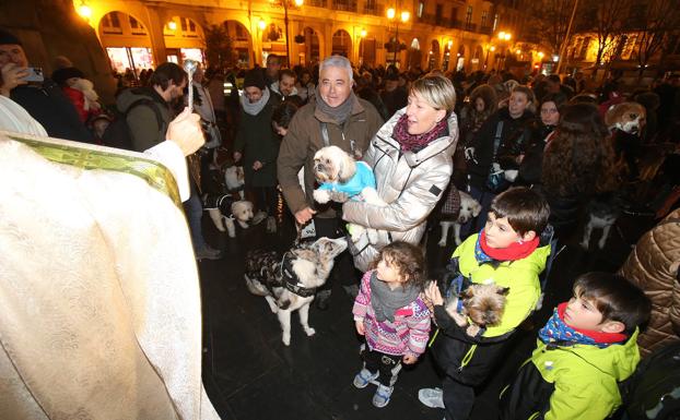 Bendión de animales en Logroño. /JUAN MARÍN