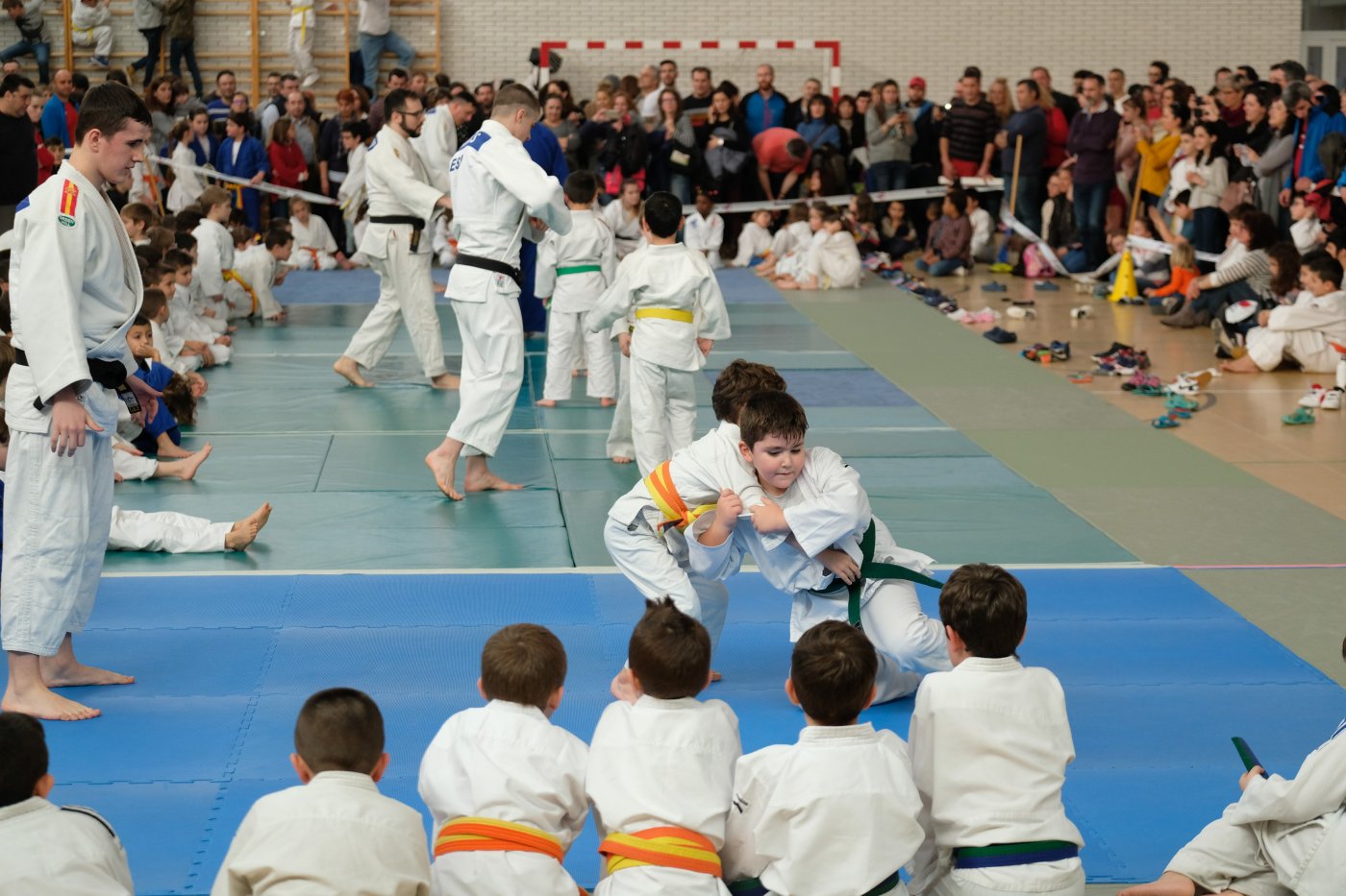 Imagen de una jornada de judo de temporadas pasadas. / F.D.