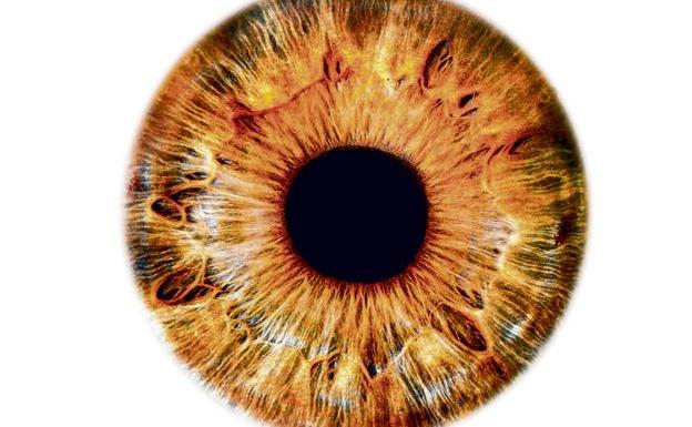 Diabetes, alzhéimer, cáncer... Estas son las enfermedades que también revelan los ojos