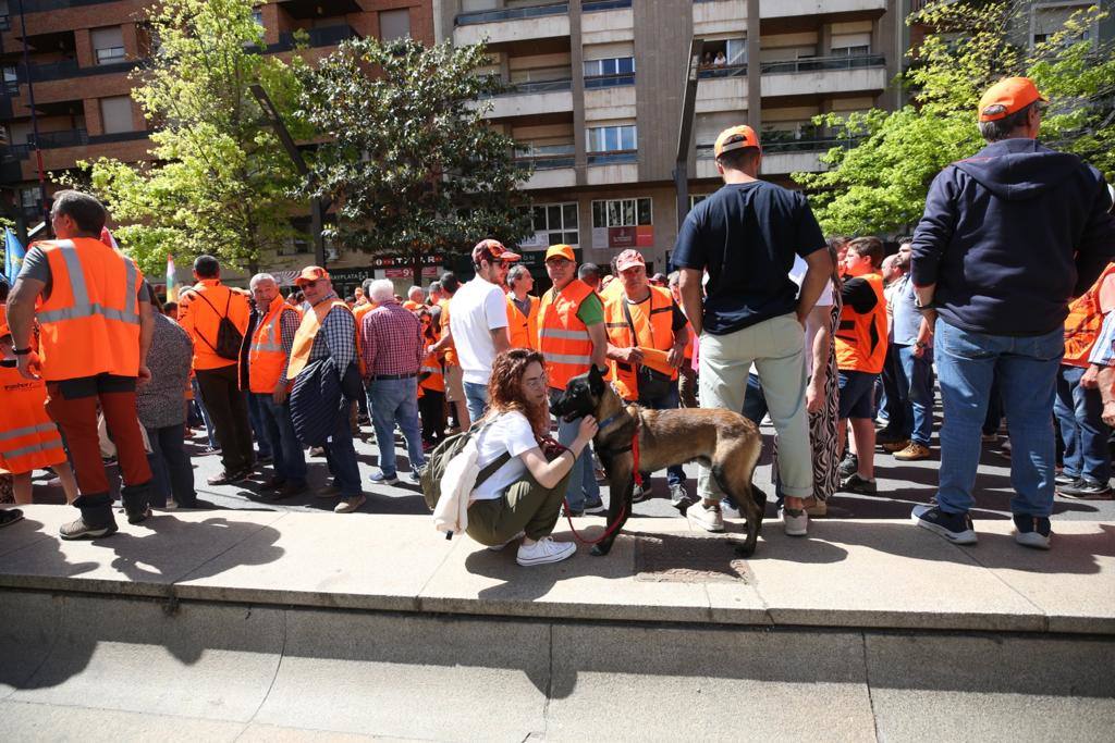 Imagen secundaria 1 - Los cazadores riojanos toman Logroño