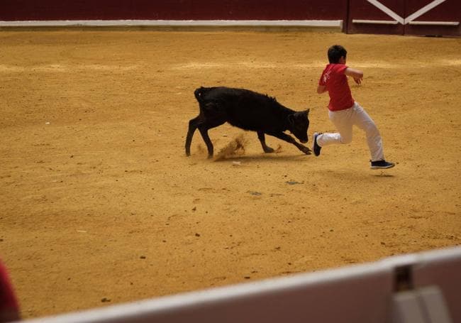 Vaquillas en La Ribera.